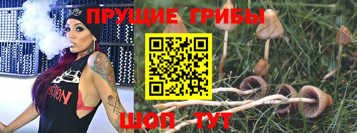 сколько стоит  Вход с VPN  Торжок  Галлюциногенные грибы Magic Shrooms 